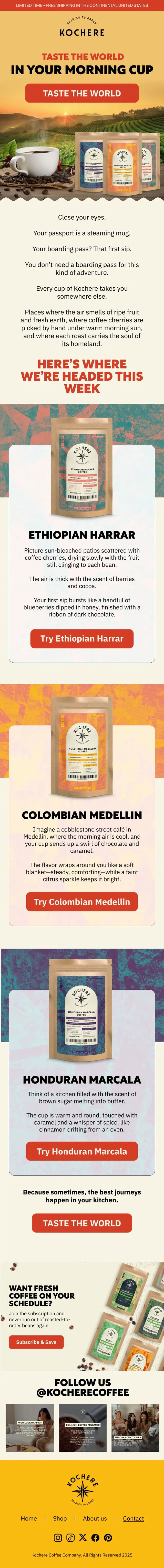 Specialty coffee campaign email
