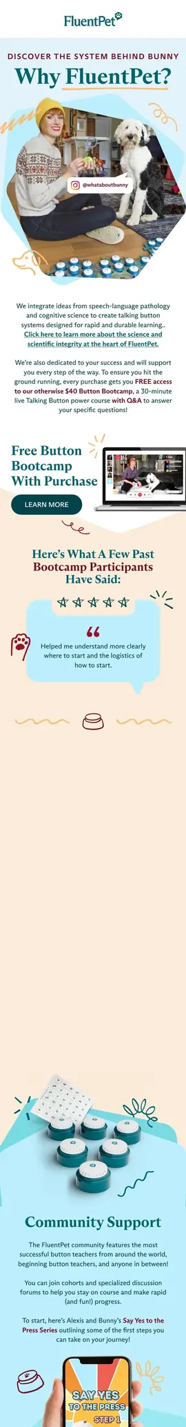 Pet product quiz flow email