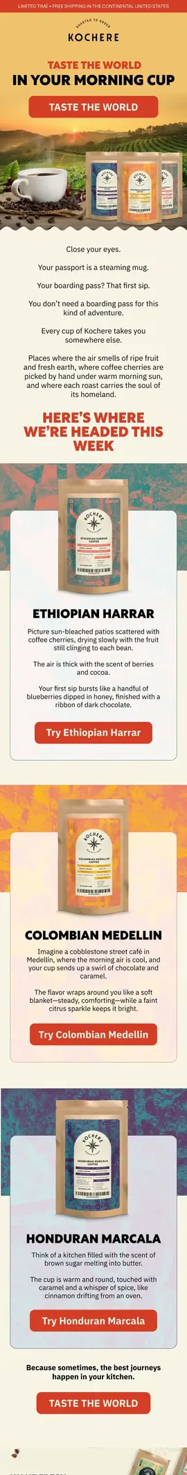 Specialty coffee campaign email